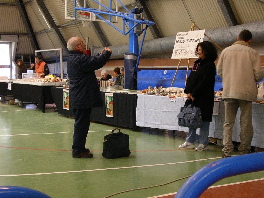 un salto a Collesalvetti ...